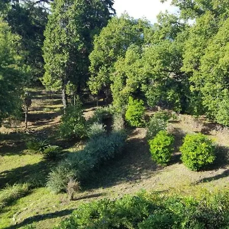 Holiday home La Lobbia *